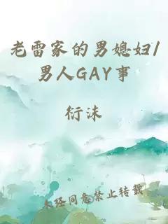 老雷家的男媳妇/男人GAY事