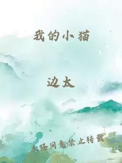 我的小猫