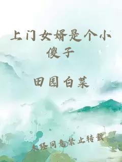 上门女婿是个小傻子
