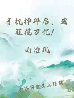 手机摔碎后,我狂揽万亿!小说封面 手机摔碎后,我狂揽万亿!